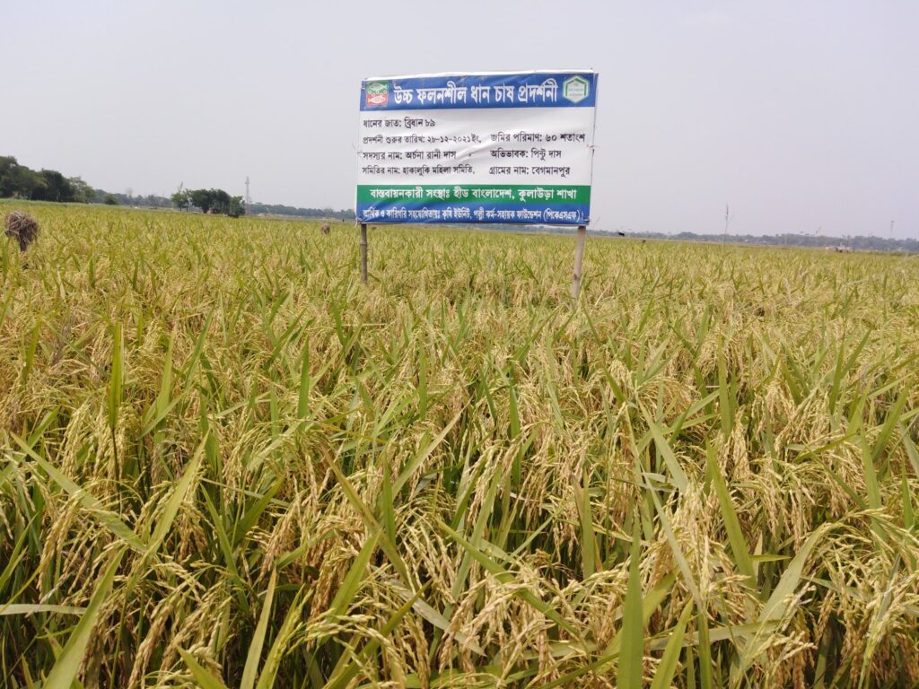 Integrated Agriculture Unit – Heed Bangladesh