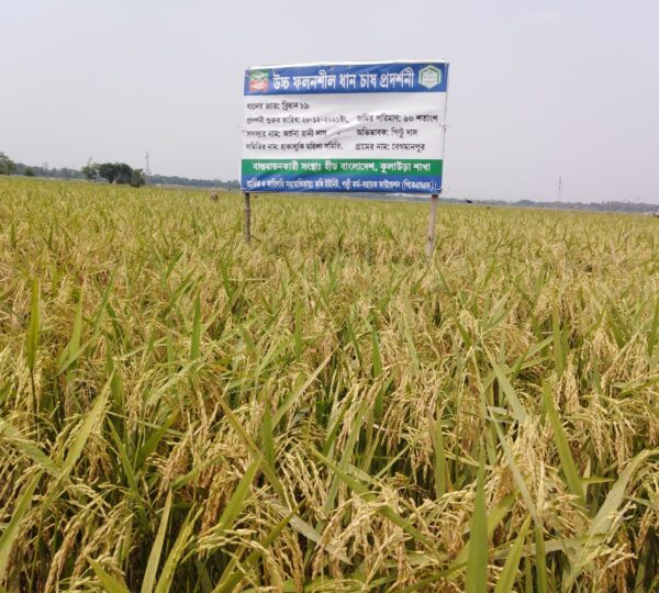 Integrated Agriculture Unit – HEED Bangladesh