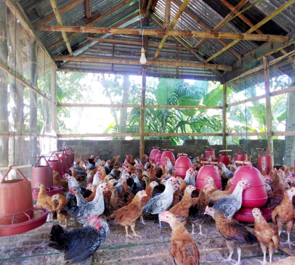 Integrated Agriculture Unit