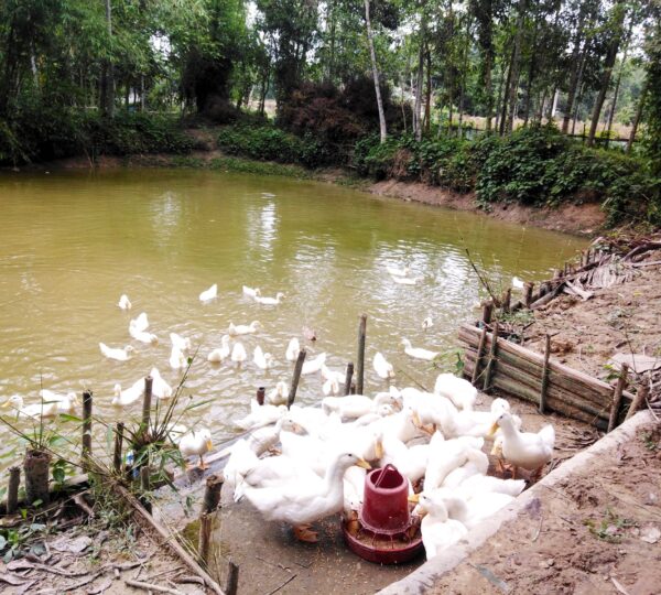 Integrated Agriculture Unit